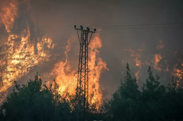 Forest fire in Sakarya and Bilecik: 4 evacuated