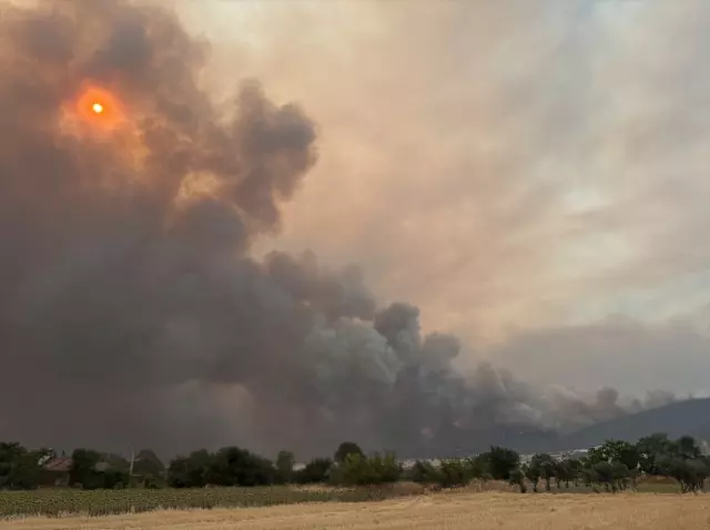 Flames are advancing rapidly in Bilecik! 7 villages have been evacuated