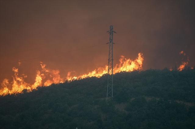 Flames are advancing rapidly in Bilecik! 7 villages have been evacuated
