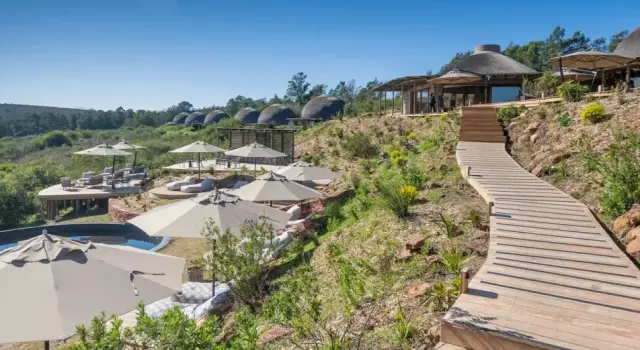 The millionaire safari owner tragically lost his life after being attacked by a 6-ton elephant