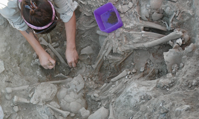 The first village settlement based on agriculture and animal husbandry was found in the Gökçeada Uğurlu-Zeytinlik excavations