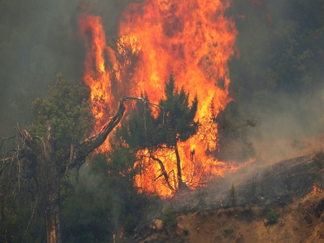 Minister Murat Kurum: A total of 104 structures are severely damaged or destroyed in the forest fires