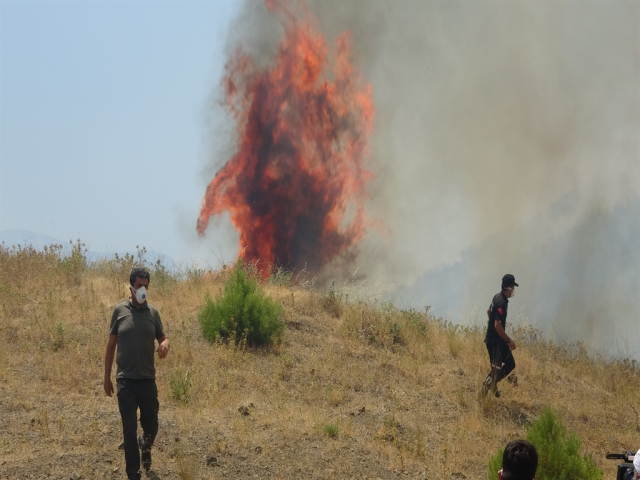 Minister Murat Kurum: A total of 104 structures are severely damaged or destroyed in the forest fires