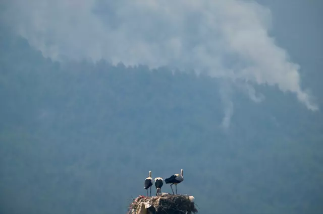 The current state of Karabük, where 72% is covered by forests, is heartbreaking