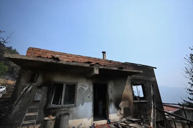 The current state of Karabük, where 72% is covered by forests, is heartbreaking
