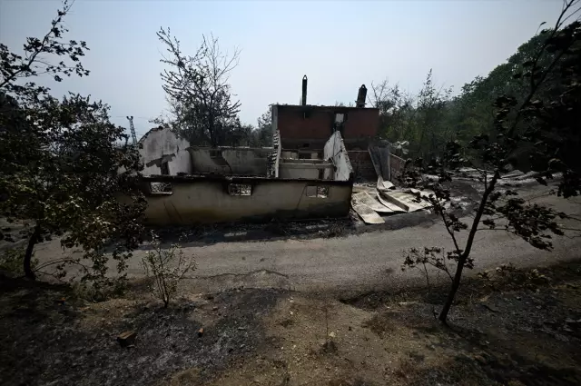 The current state of Karabük, where 72% is covered by forests, is heartbreaking