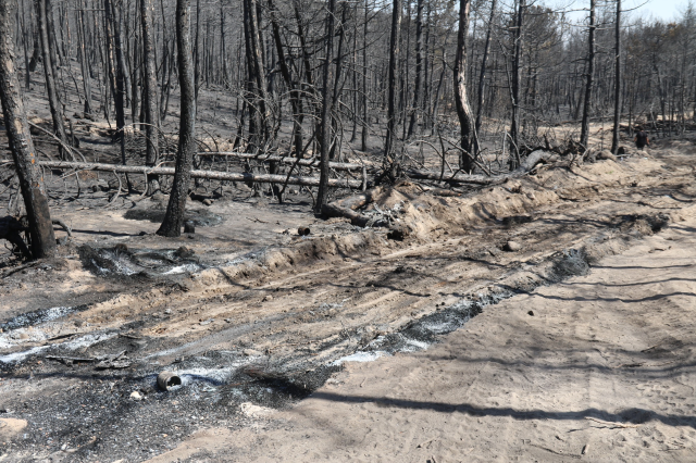 The area where 10 forest workers became martyrs! Vehicles turned to ashes, drag marks on the ground