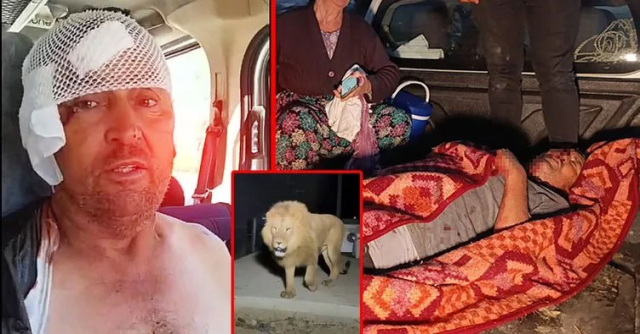 Antalya's Süleyman, who struggled with the lion, keeps having the same dream