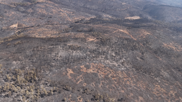 Forest fires in Bursa were brought under control on the 5th day