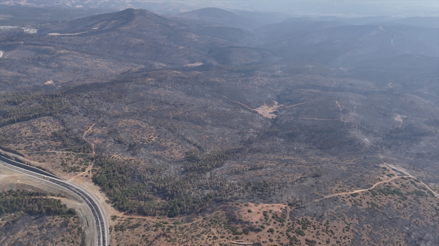 Forest fires in Bursa were brought under control on the 5th day