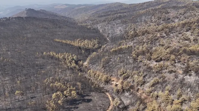 Forest fires in Bursa were brought under control on the 5th day