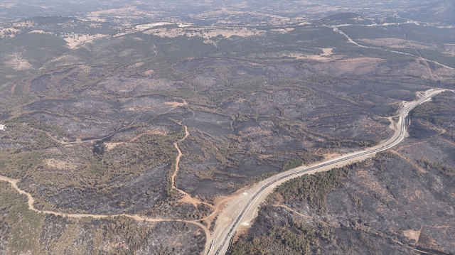 Forest fires in Bursa were brought under control on the 5th day