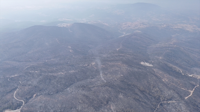 Forest fires in Bursa were brought under control on the 5th day