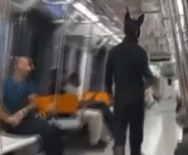 A person in a rabbit costume, holding a toy rifle, was taken into custody after getting on the metro