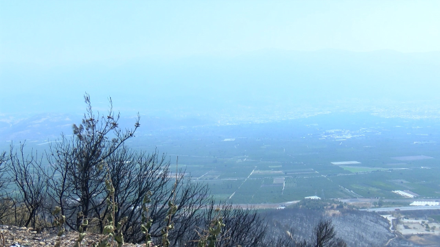 There was a 30% increase in hospital visits due to respiratory complaints after the forest fires