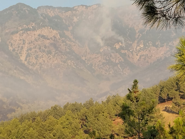 Forest fires in Hatay and Mersin on the second day! Teams are caught among the flames