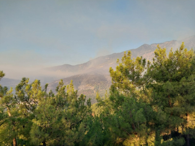Forest fires in Hatay and Mersin on the second day! Teams are caught among the flames