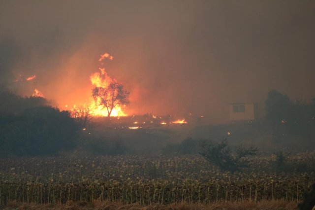 The forest fire in Çanakkale has grown! 5 villages have been evacuated