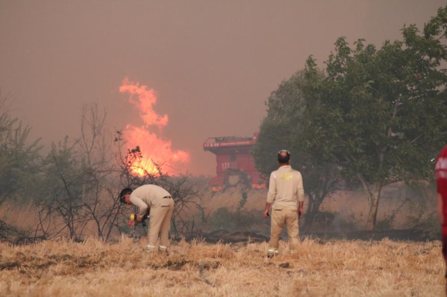 The forest fire in Çanakkale has grown! 5 villages have been evacuated
