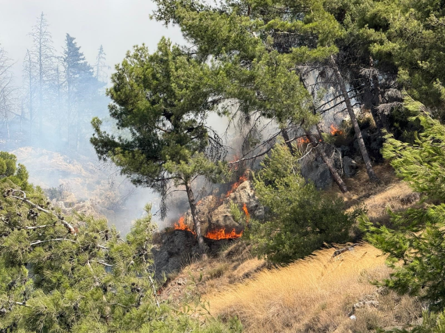 Forest fire in Bursa: Flames advanced towards settlements, announcements rose from the region