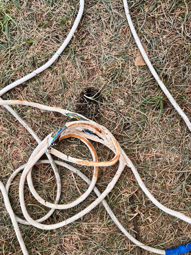 The young man who was electrocuted at the Beykoz Çayır Festival lost his life
