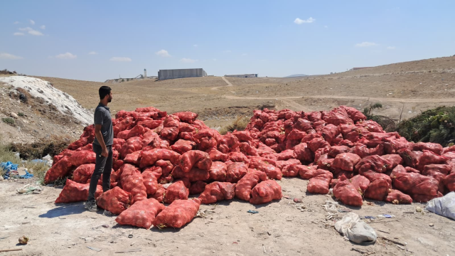They threw tons of dry onions onto a vacant lot, citizens flocked