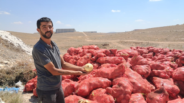 They threw tons of dry onions onto a vacant lot, citizens flocked