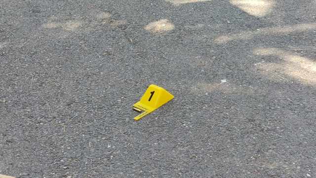 Armed attack in the garden of Balıklı Rum Hospital