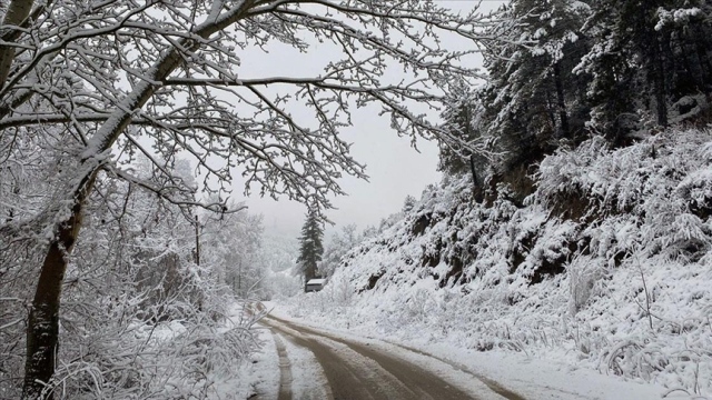 Snow surprise in summer heat: It will be covered with a white blanket