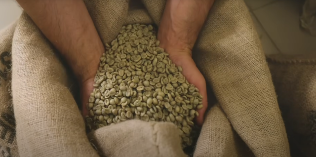 The Journey of Coffee with Barista Guru: The First Step from Farm to Cup