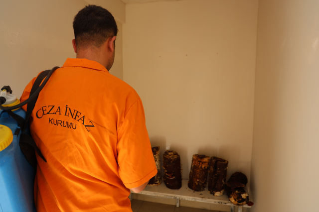 Inmates cultivated it in prison, sold for 15 thousand TL per kilogram