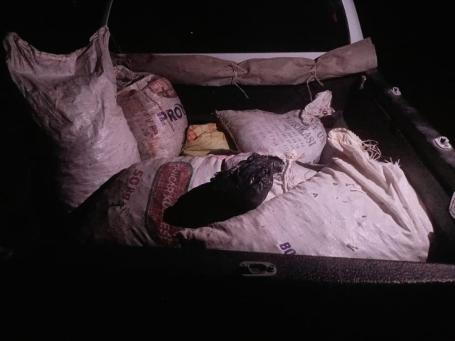A fine of 557 thousand lira was imposed on the person collecting endemic mountain garlic