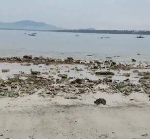 7.4 Earthquake in the Philippines! Tsunami warning issued