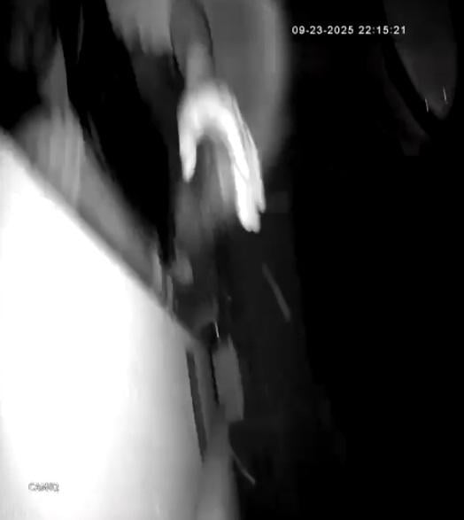 The moment of theft was recorded by the stolen security camera