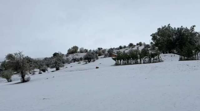 3 provinces covered in white! Snow depth 26 centimeters