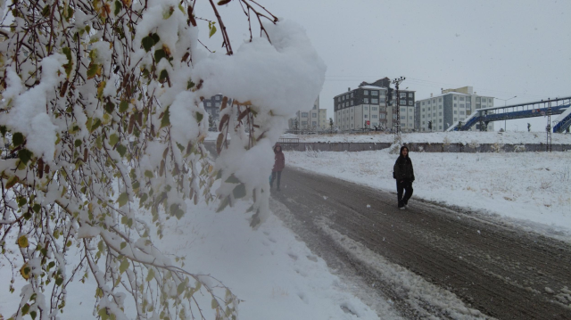 3 provinces covered in white! Snow depth 26 centimeters