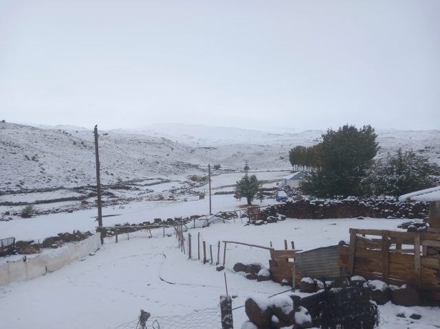 3 provinces covered in white! Snow depth 26 centimeters