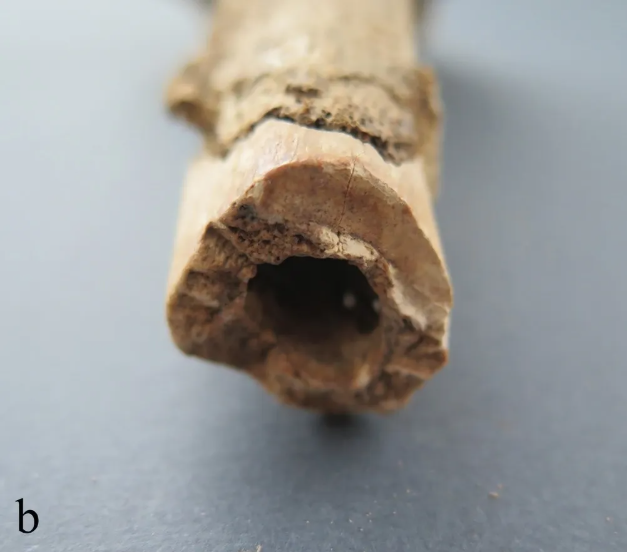 Archaeologists found 1,800-year-old bodies in an ancient well