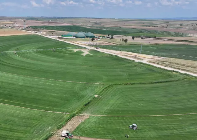 Grew 50 times in 24 years! The facility that reversed migration from village to city