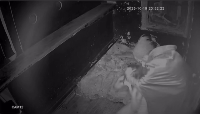 The haunted house employee made the young woman experience a nightmare! He laid her down and applied electroshock