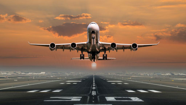 The airline giant has halted its flights! Hundreds of pilots and flight attendants have been laid off