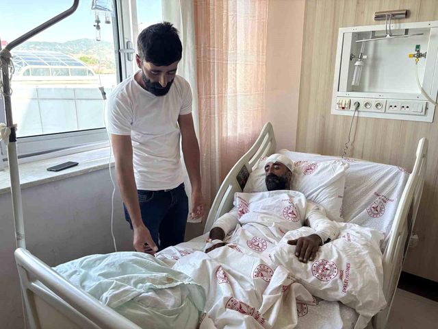 Mushroom Picker Attacked by Bear