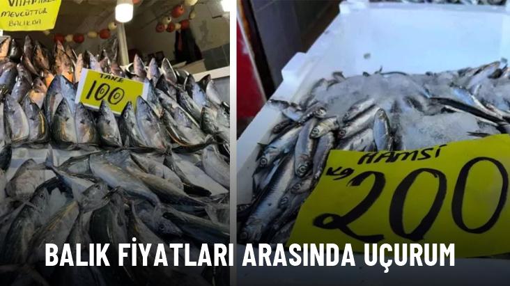 Hamsi fiyatları palamudu geçti: Karadeniz'in incisi 200 TL'den satılıyor