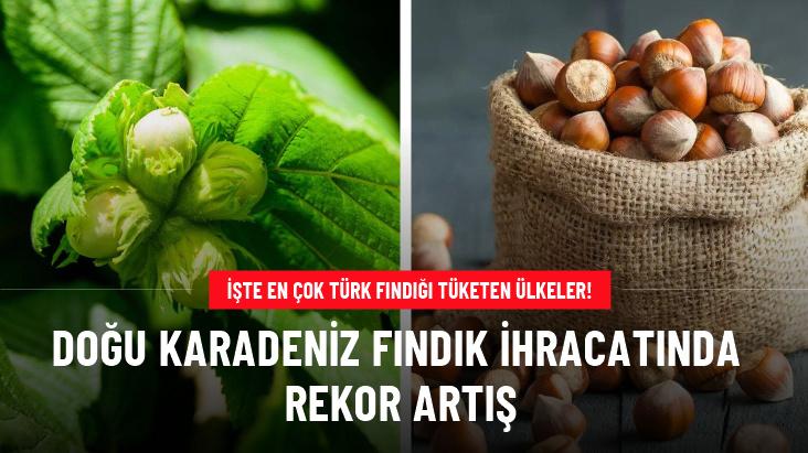 Doğu Karadeniz fındık ihracatında rekor artış