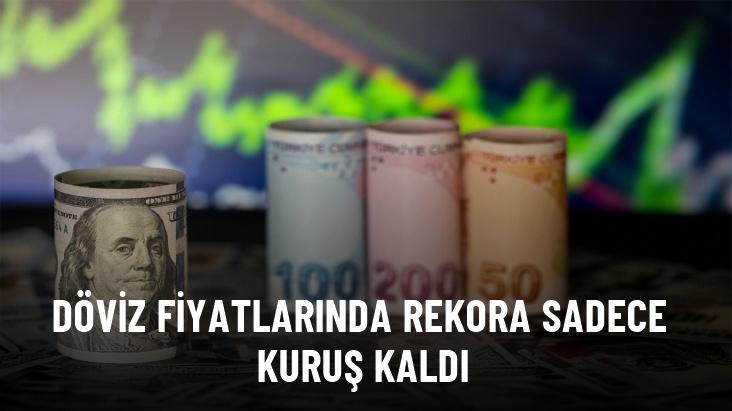 Ons altındaki rekorın ardından dolar da yeni rekor kırmak üzere