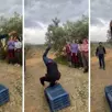 The fashion show performed by the olive grove workers accompanied by music will warm your heart.