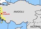 Anadolu İyon Uygarlığı
