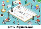 Çevik Organizasyon