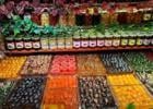 Yaz Sıcaklarında Gıda Güvenliği Alarımı Tüketicinin Sofrasına Gelene Kadar Her Aşama Denetlenmeli