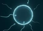 Sperm yokluğu: Azospermi nedir, nasıl yaklaşılmalı?